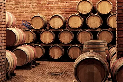 décor de cave à vin scénario Au fil du vin